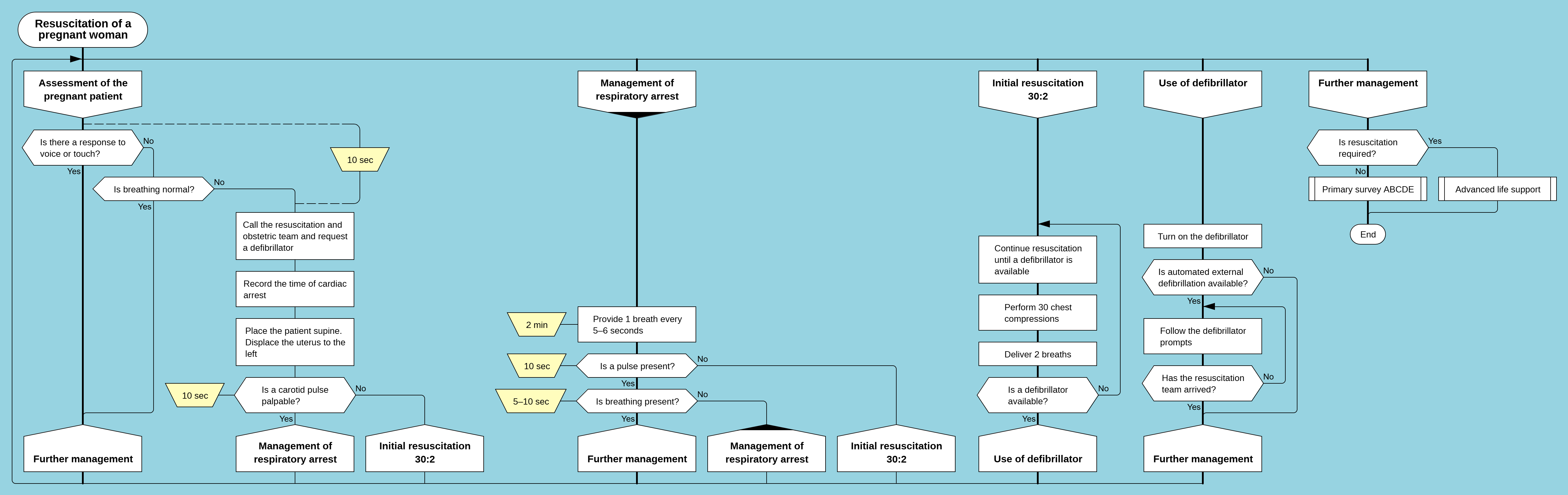 Resuscitation of a Pregnant Woman